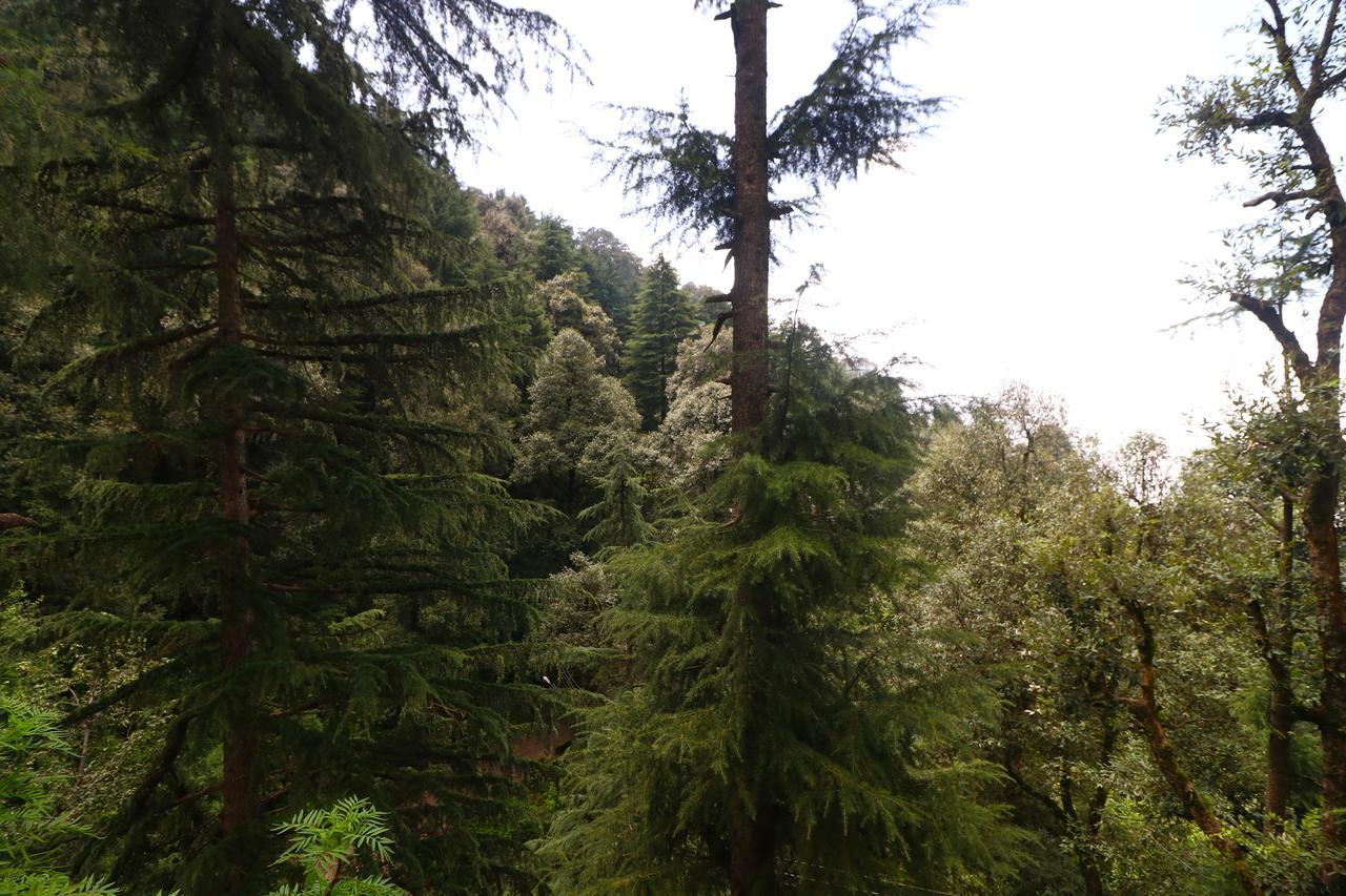 Vilasa Lall Ji Resort Dalhousie Exterior foto